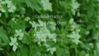 Conative Practice: Fourfold Vision Quest | Guided meditation