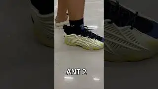 Ant 2