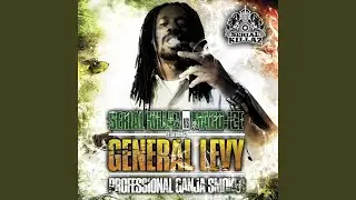 Professional Ganja Smoker (Serial Killaz Instrumental Remix)