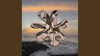 My Shit