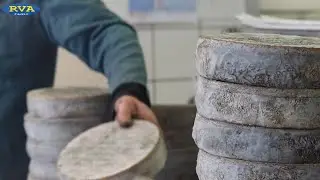 ESCAPADES EN AUVERGNE-Le Saint-Nectaire sur la route des fromages AOP d'Auvergne (&Eacute;pisode 2)