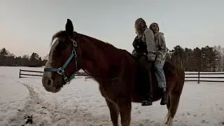 Warm Horses And Cold Drinks