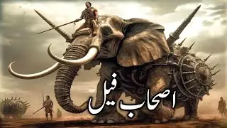 ashab e feel ka waqia | abraha kon tha | kaba par hamla karne waly abraha ka anjam|surah feel story