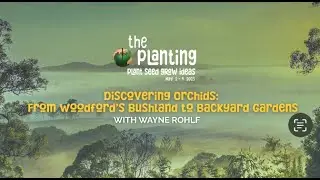 Discovering Orchids: From Woodford&rsquo;s Bushland to Backyard Gardens with Wayne Rohlf