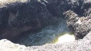 Thor's Well, on the Oregon Coast, at low tide