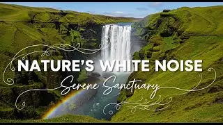 Nature's Sound Bath | Pure Waterfall Sounds for Healing and Meditation