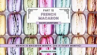 💖 French Macaron Baking Adventures, Part 18: March is Macaron Month. (So is Every Month)!