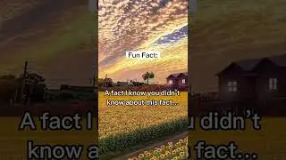 The view #nature #beautiful #beauty #flowers #wow #travel #viral #wow #field #shocking #language