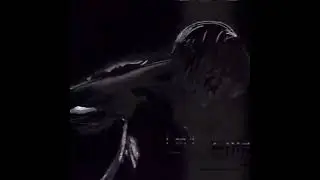 Diegointhedark + Emotional + yandere + hyperpop + jerk type beat