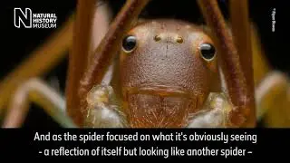 WPY 55 Highlights