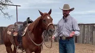 Ben Baldus: Hackamore vs Snaffle