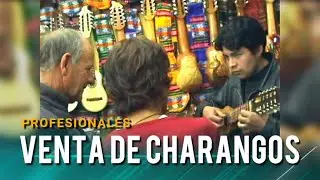 Venta de CHARANGOS bolivianos PROFESIONALES |  WWW.CHARANGOSBOLIVIA.COM