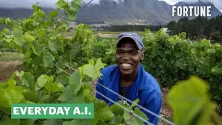 How A.I. Is Being Used In Vineyards To Battle Climate Change | Everyday A.I.
