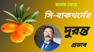 Benefits of Sea Buckthorn on Human Health | মানব শরীরে সি বাকথর্নের প্রভাব
