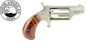 NAA North American Arms  -  Pocket Pistol  -  .22 MAG  -  OACET