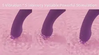 SVAKOM Amy2 Dildo Vibrator Adult Sex Toy for G-spot Clitoral Nipples Anal Massager for Women Men
