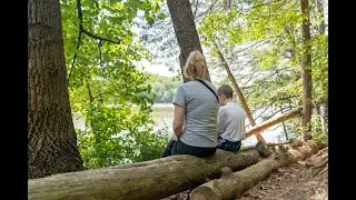 Living in North Springfield, VA: The Ultimate Local Guide | Homes.com