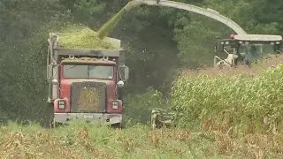Farmers who've lost at least 30 percent in crop production or livestock can apply for the emergency