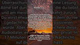 #Tarot #Tarotlesen #Tarotleser #Tarotkarten #f&uuml;rdich #fyp