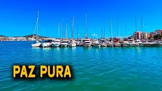Ibiza Harbor Vibes  | Pure Mediterranean Sailing Vibes