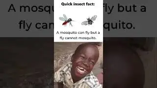 Hasi Rok ke dikhao #meme #memecollection #funnymeme