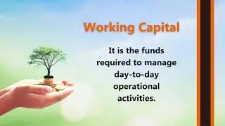 Working Capital Management and Financial Data API