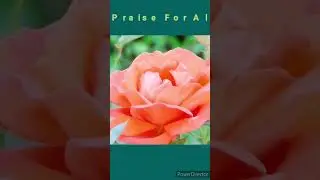 |Essential Deed For Paradise |Labbaik Allah |Learn Koran |Improve Knowledge|ICC Men's T20 World Cup|