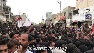 10 mohoram kafla tandoallahyar|2023#shortvideo #youtubeshorts #youtube