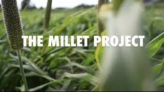 The Millet Project Crowdfunding Video