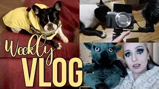 Pénélope va chez l'ostéopathe | WEEKLY VLOG