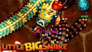 🐍Little Big Snake🐞The rebellious snakes hate me.😂