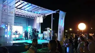 The Mixed Nuts with 504 Horns at Scales and Ales