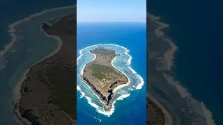 Isolated Beauty