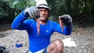 COMO LIMPIAR Y FILETEAR EL PEZ DIABLO (HOW TO CLEAN AND FILLET THE DEVIL FISH)