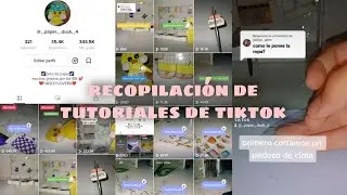 recopilación de tutoriales de tiktok|paperduck.hasley|