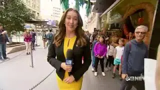 Myer Christmas Windows 2019   May Gibbs Gumnut Babies