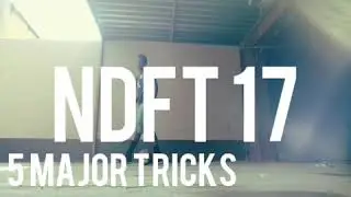 NDFT 17