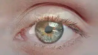 Catcher (aka Transa) -  Destiny Sunrise (Official Video)