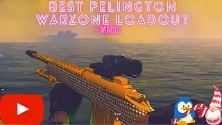 The BEST Cold War Sniper Optics to Use In Warzone (Max Damage Pelington)