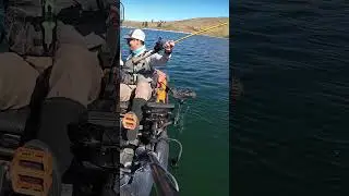 Enormous Trout on a Noodle Rod  #fishing #troutfishing