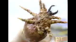 SPECIAL EFFECTS MAKE UP - Ticks - Entertainment Tonight (1993)