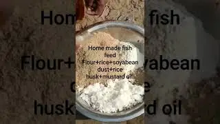 Home made fish feed
