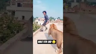 Lion Attacks Man 😱 | Real Jungle Horror#explore#trending#shorts#viral#new#ai#lion#fyp#trend#1k
