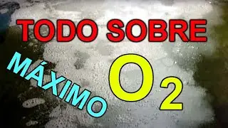 Múltiples trucos para maximizar el oxígeno en un acuario o pileta de peces, camarones o tortugas
