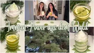 Vergiss Kaffee! 🌲 Wald-Matcha (Tatcha) & Tannen-Tee DIY: Das koffeinfreie Superfood selber machen