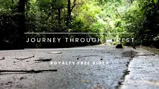 Journey Through Forest of Sri Lanka Meethirigala Nissarana Vanaya Royalty Free Stock video Footage