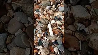Clay pipe stem   #old #clay #pipe #history #England #beach  #shorts