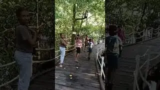 Jembatan putih biak Numfor #music #alanwalker#play#shorts