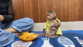 Admired TanTan Sit Tiny Hug A Tong For Fruity Daytime