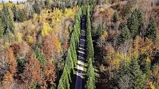 Drone Views of Switzerland in 4k: Autumn in Ringlikon (Uitikon-Waldegg)